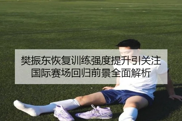 樊振东恢复训练强度提升引关注 国际赛场回归前景全面解析